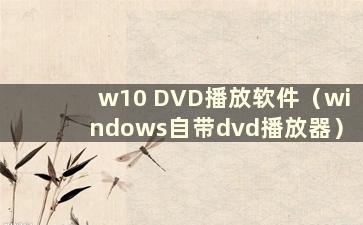 w10 DVD播放软件（windows自带dvd播放器）